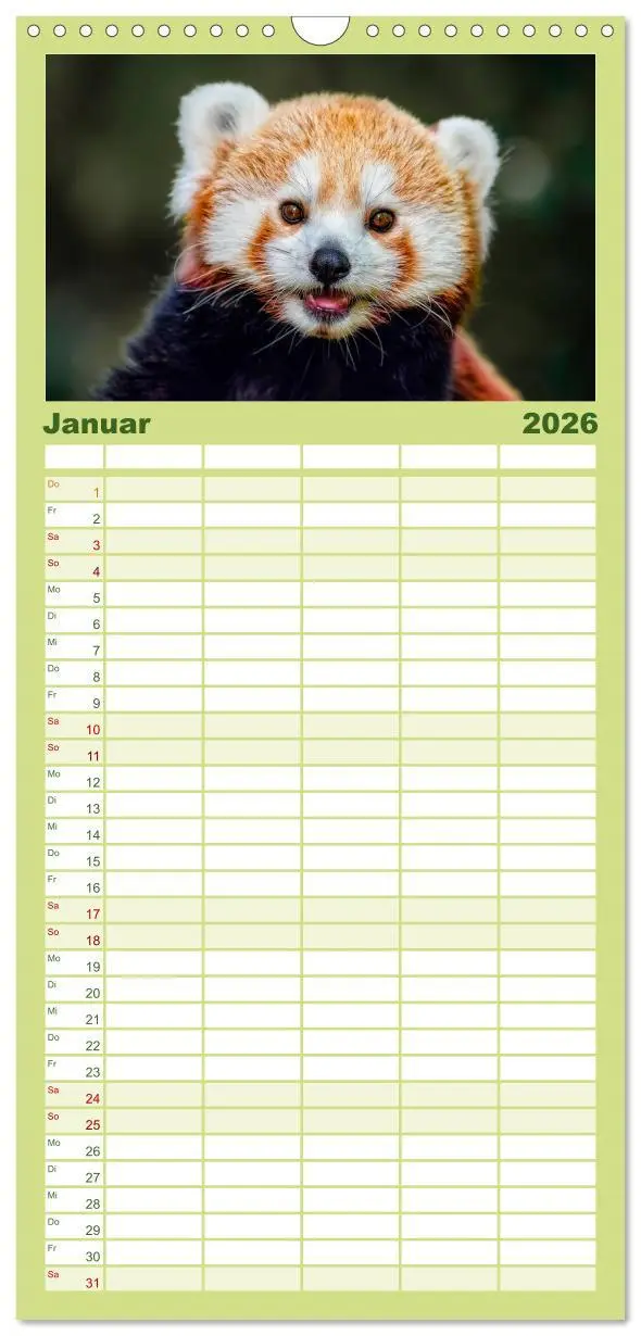 Bild: 9783516517767 | Familienplaner 2026 - Kleiner Panda mit 5 Spalten (Wandkalender, 21...