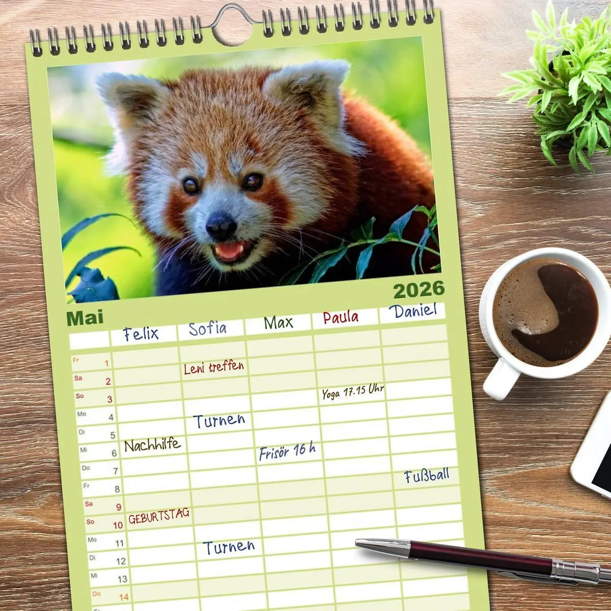 Bild: 9783516517767 | Familienplaner 2026 - Kleiner Panda mit 5 Spalten (Wandkalender, 21...