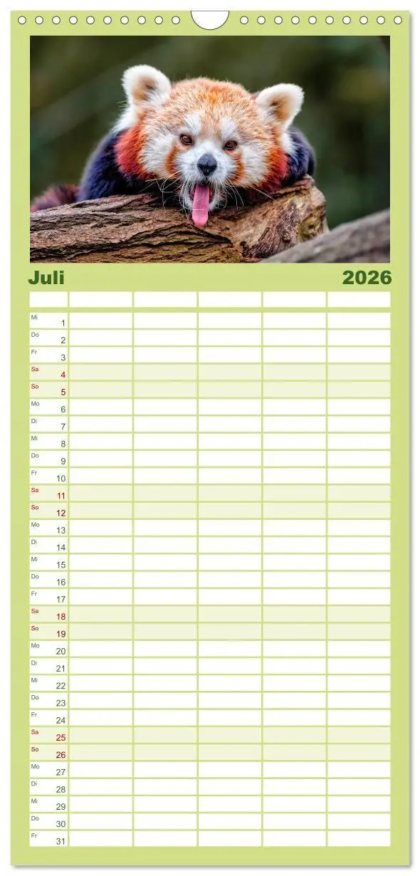 Bild: 9783516517767 | Familienplaner 2026 - Kleiner Panda mit 5 Spalten (Wandkalender, 21...