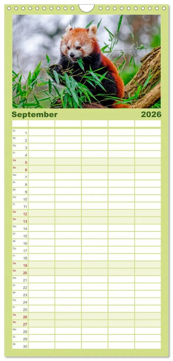 Bild: 9783516517767 | Familienplaner 2026 - Kleiner Panda mit 5 Spalten (Wandkalender, 21...