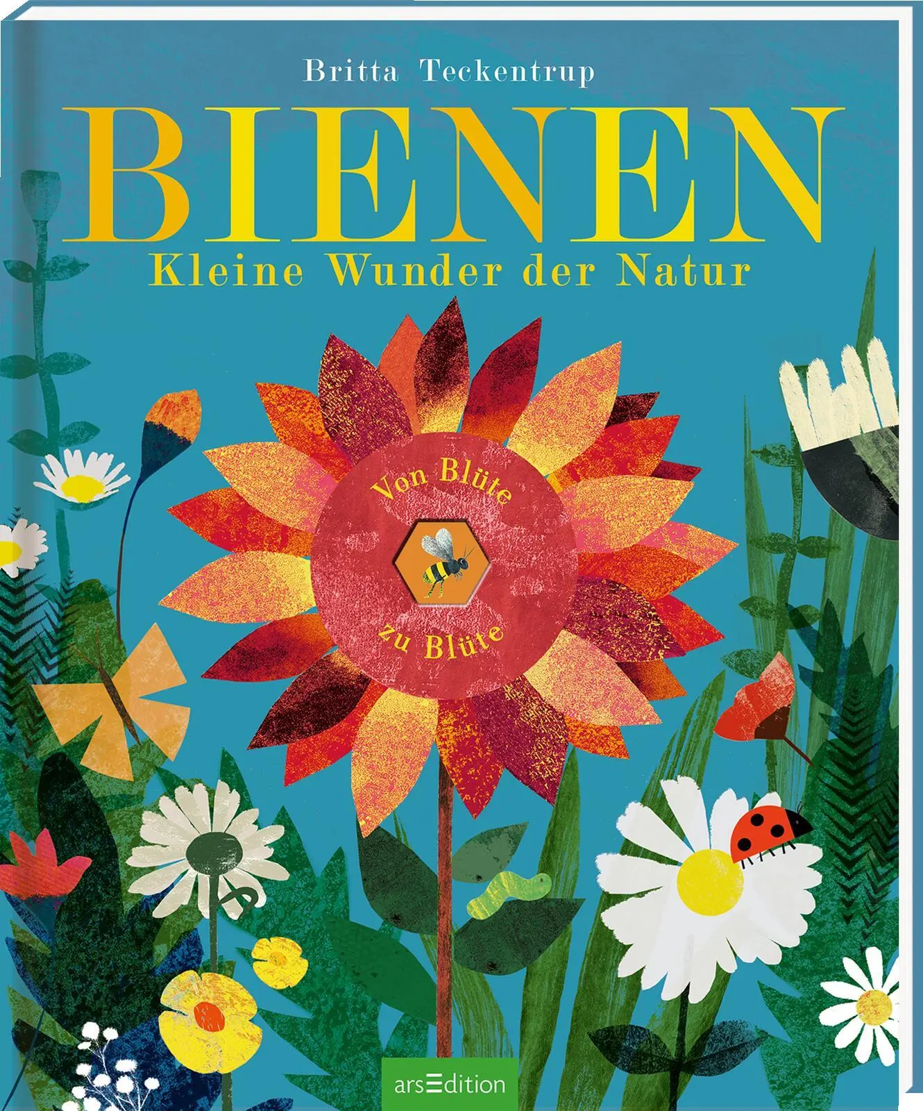 Cover: 9783845817767 | Bienen | Kleine Wunder der Natur | Maria Höck | Buch | 32 S. | Deutsch