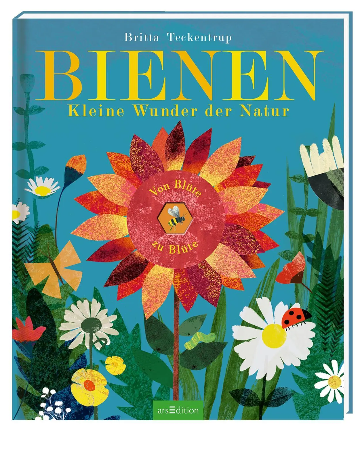 Bild: 9783845817767 | Bienen | Kleine Wunder der Natur | Maria Höck | Buch | 32 S. | Deutsch