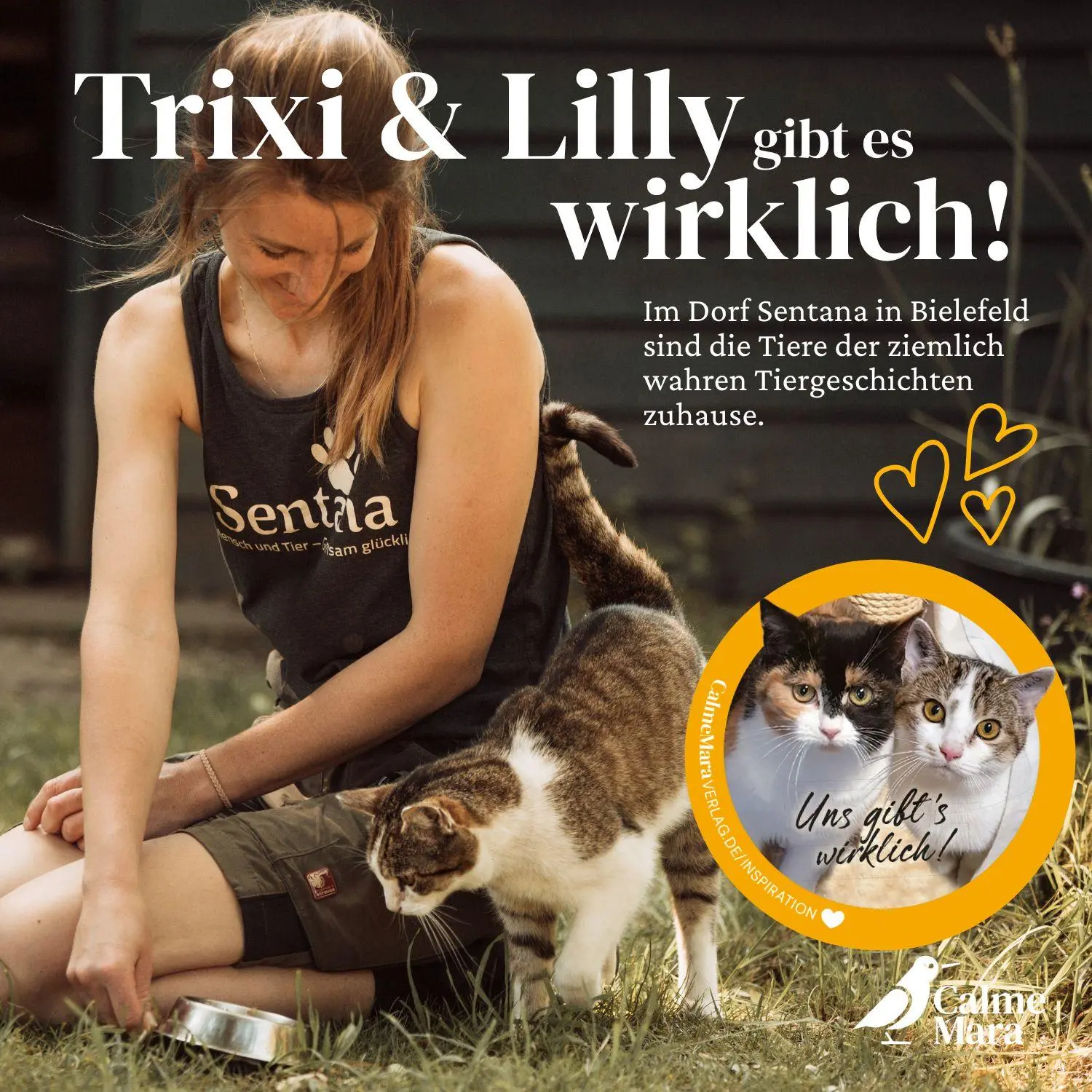 Bild: 9783948877767 | Trixi, Lilly und der Waschbär | Eine ziemlich wahre Geschichte | Buch