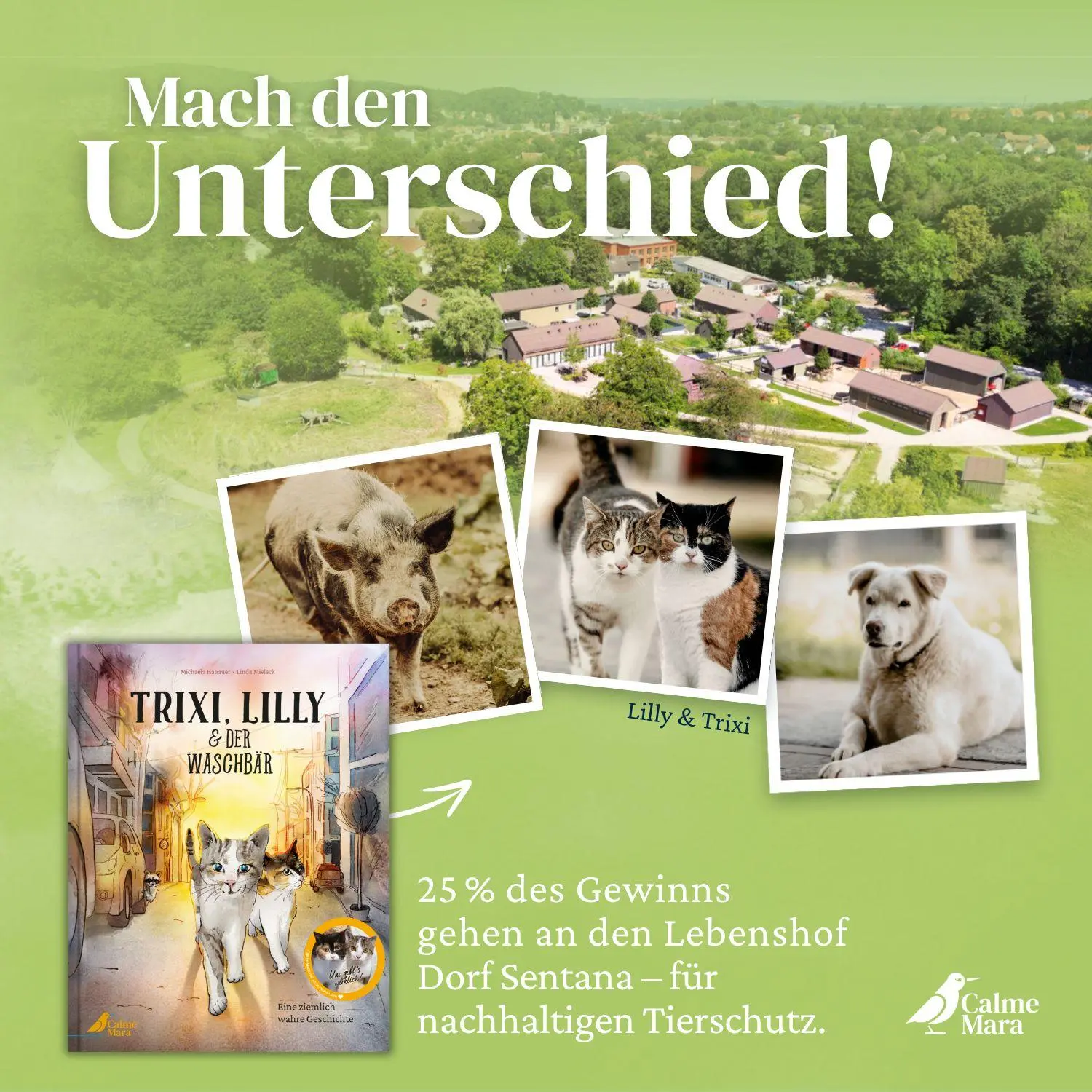 Bild: 9783948877767 | Trixi, Lilly und der Waschbär | Michaela Hanauer | Buch | 36 S. | 2025