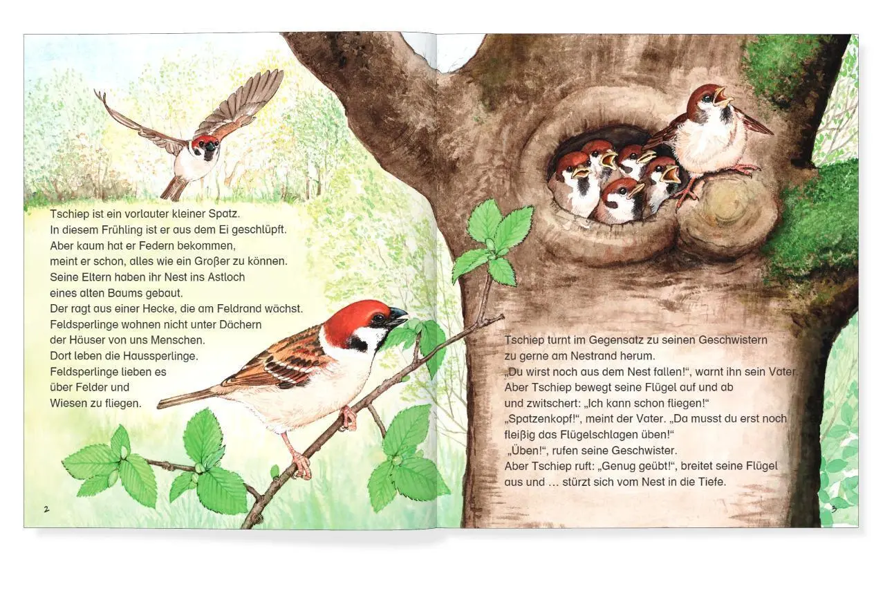 Bild: 9783951987767 | Spatzenkopf | Josephine Bienath (u. a.) | Buch | Deutsch | 2025