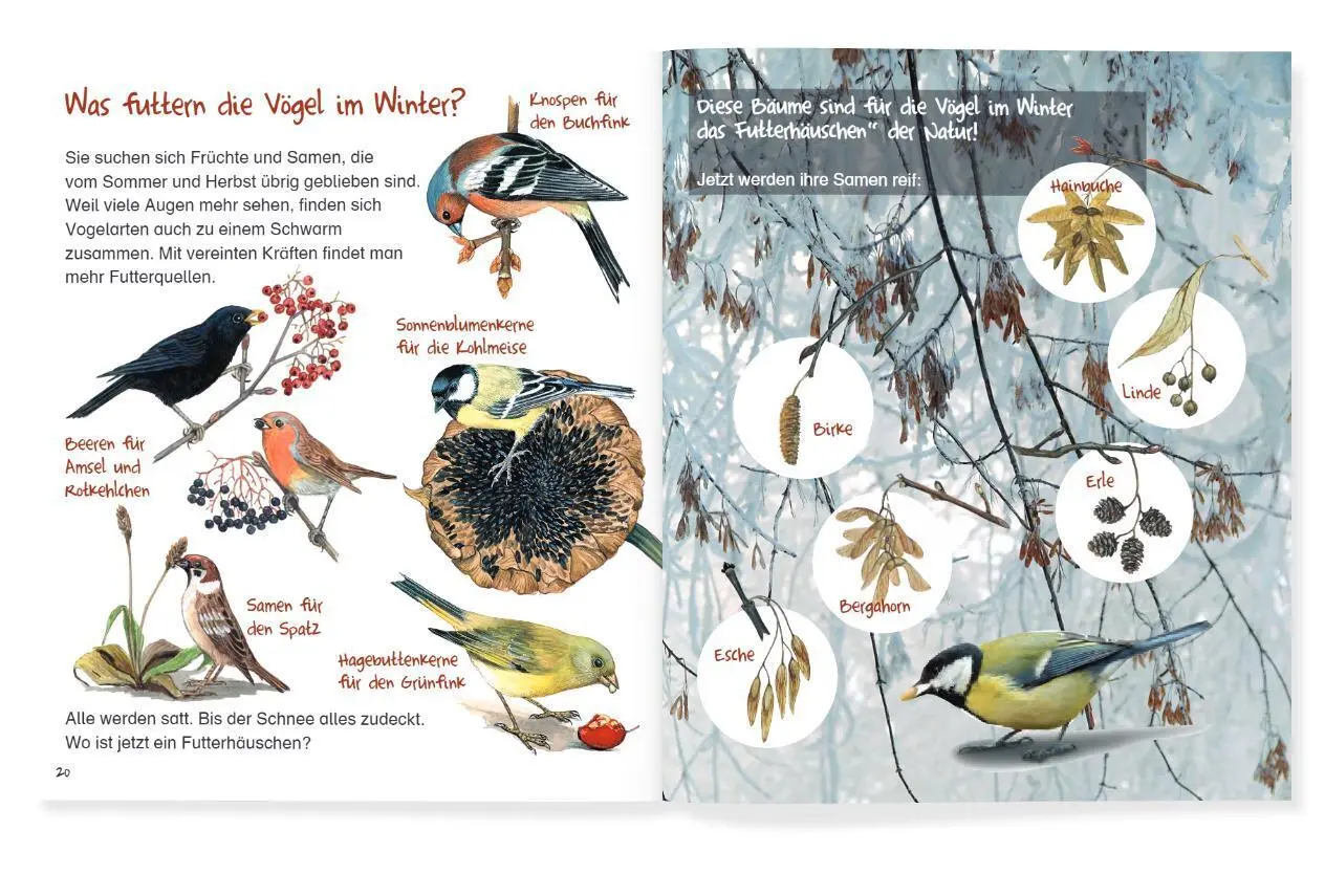 Bild: 9783951987767 | Spatzenkopf | Josephine Bienath (u. a.) | Buch | Deutsch | 2025