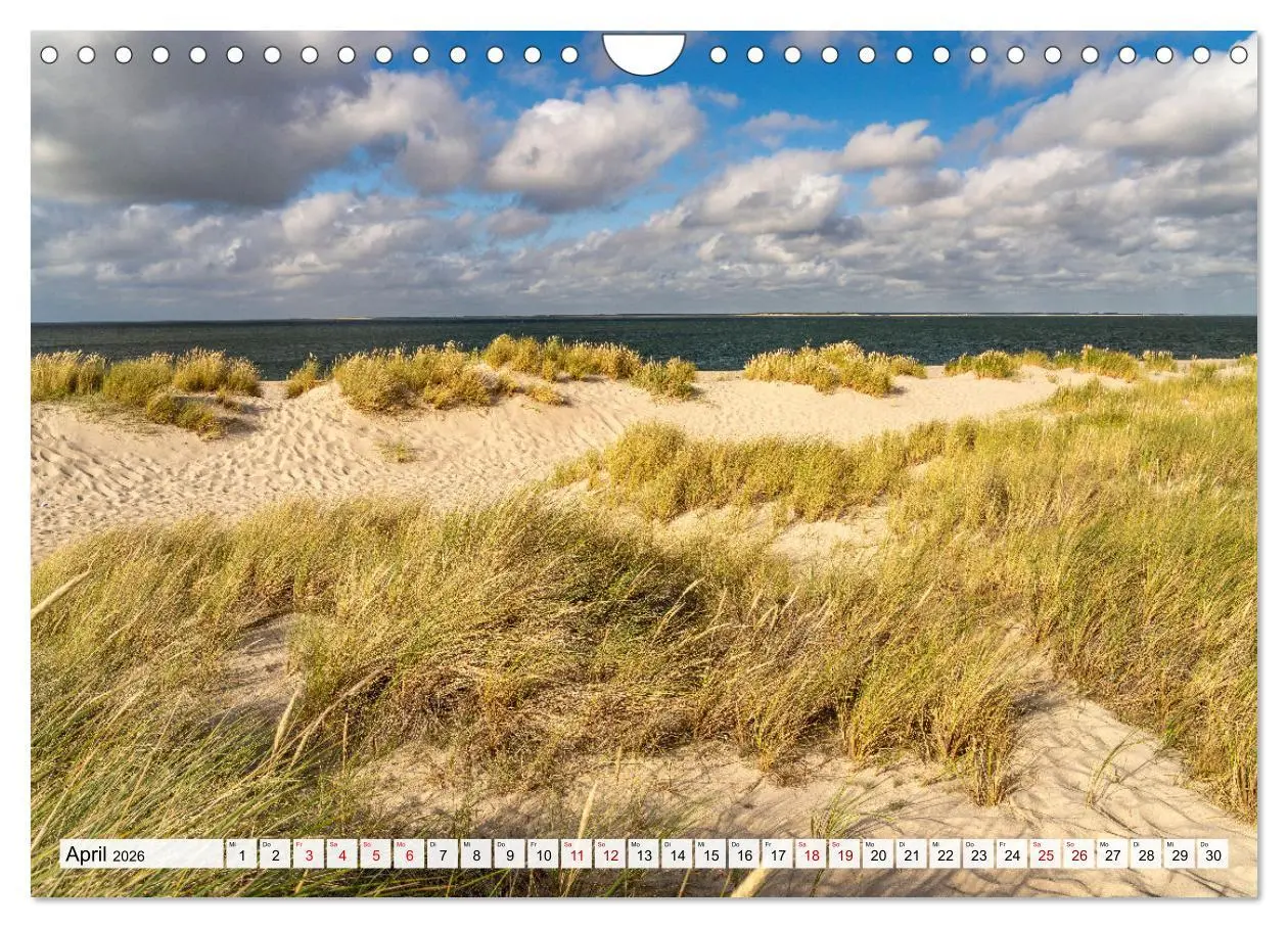 Bild: 9783457347867 | Deutschland - Insel Sylt (Wandkalender 2026 DIN A4 quer), CALVENDO...