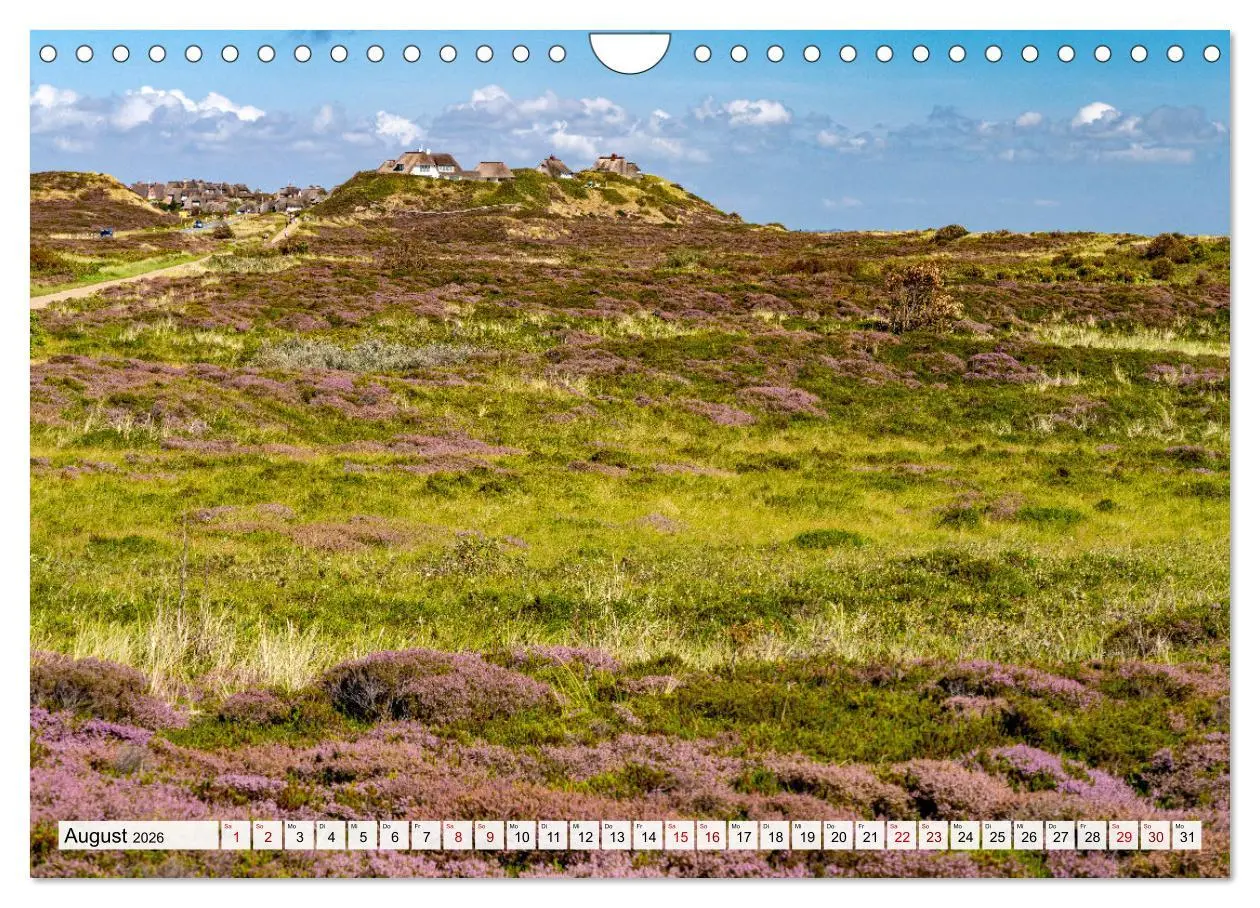 Bild: 9783457347867 | Deutschland - Insel Sylt (Wandkalender 2026 DIN A4 quer), CALVENDO...