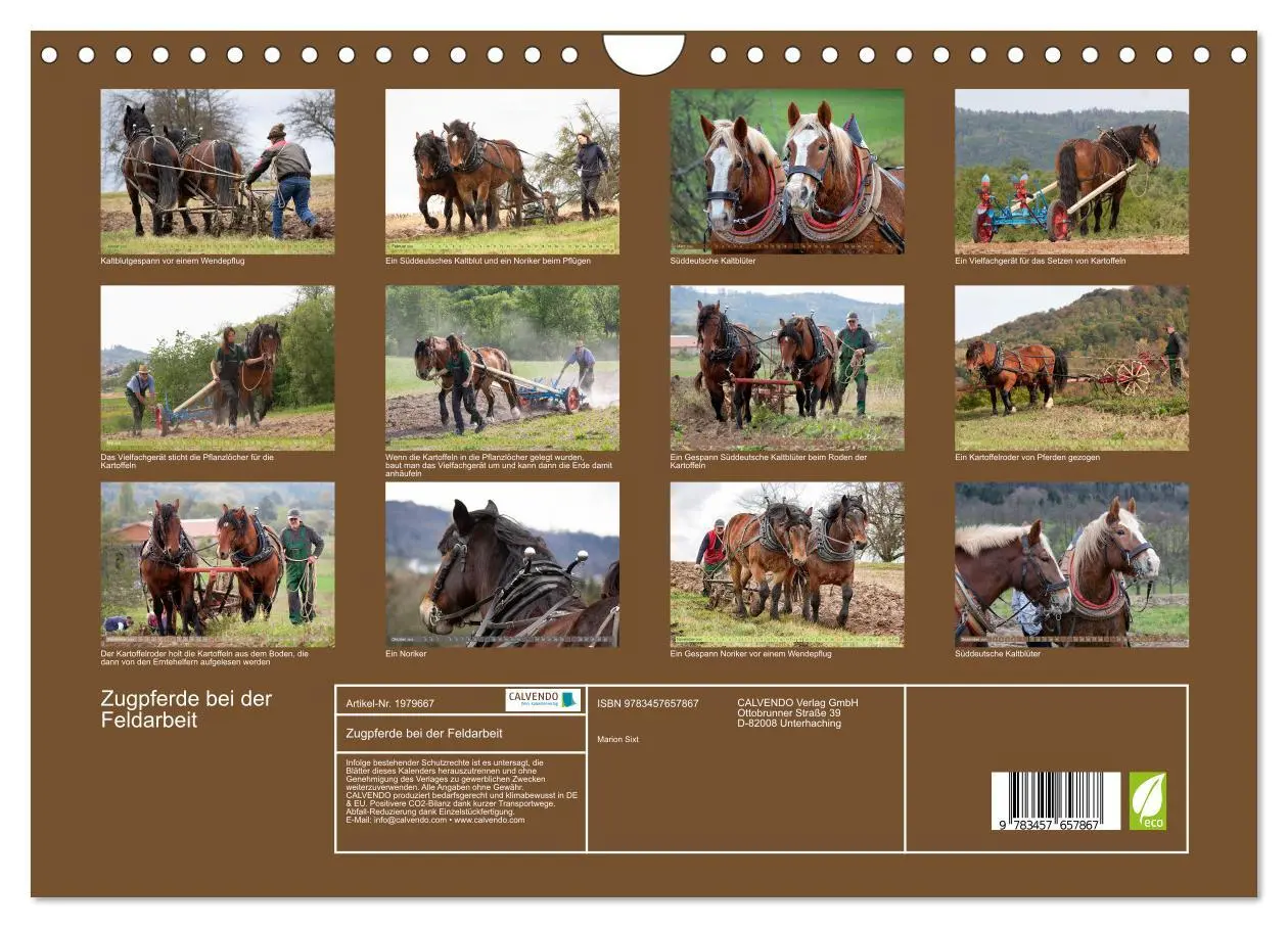 Bild: 9783457657867 | Zugpferde bei der Feldarbeit (Wandkalender 2026 DIN A4 quer),...