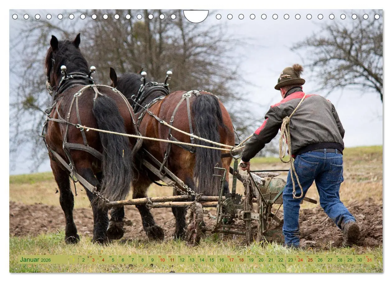 Bild: 9783457657867 | Zugpferde bei der Feldarbeit (Wandkalender 2026 DIN A4 quer),...