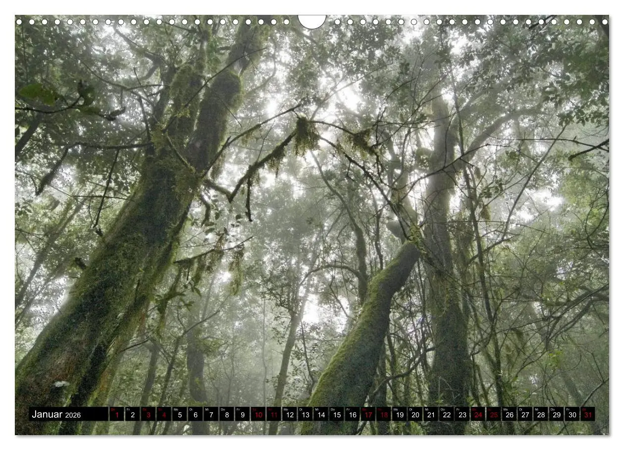 Bild: 9783457897867 | La Gomera - Ansichten und Aussichten (Wandkalender 2026 DIN A3...