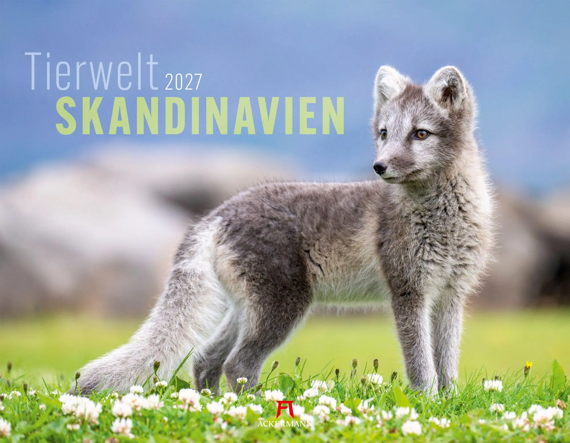 Cover: 9783838427867 | Tierwelt Skandinavien Kalender 2027 | Ackermann Kunstverlag GmbH