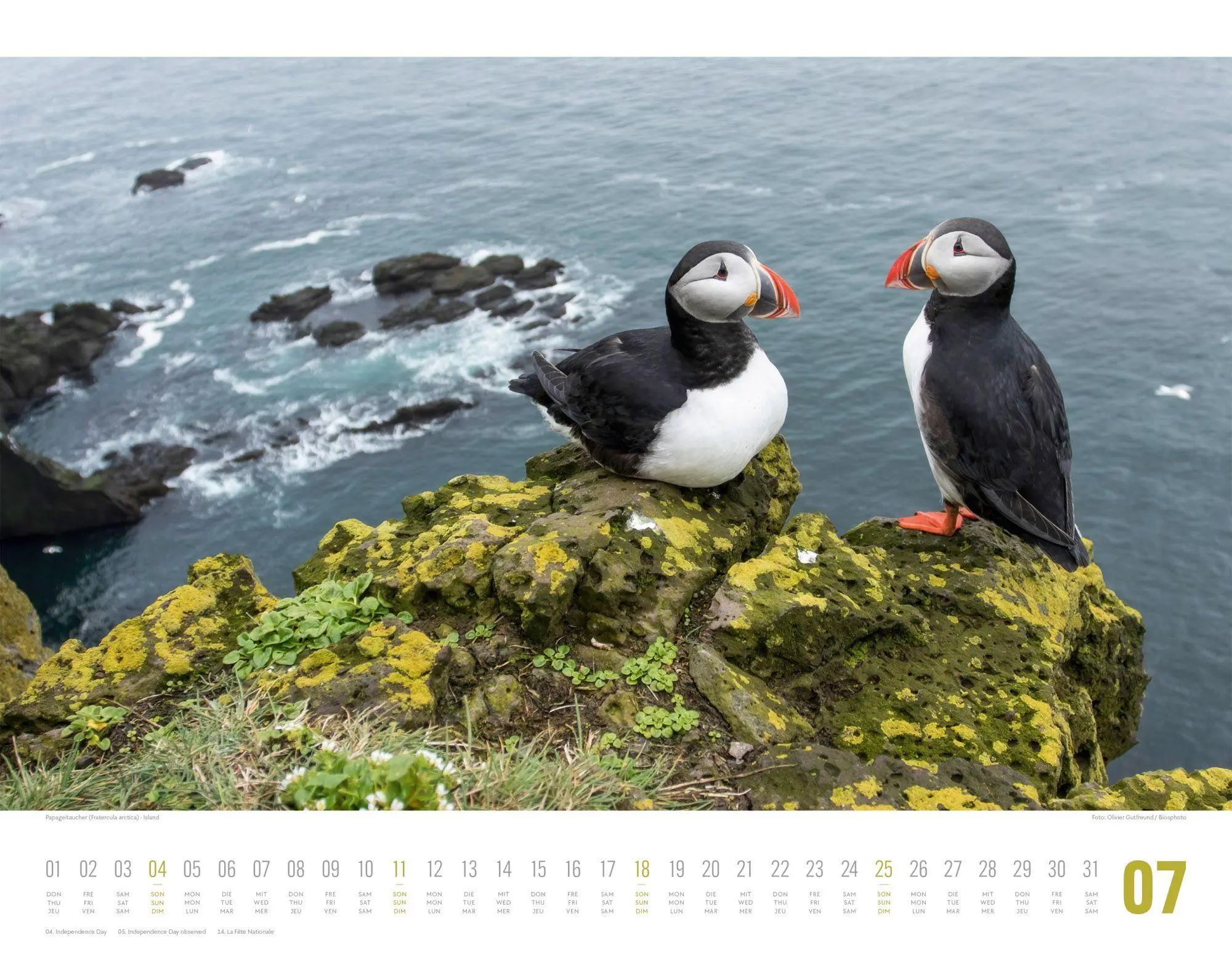Bild: 9783838427867 | Tierwelt Skandinavien Kalender 2027 | Ackermann Kunstverlag GmbH