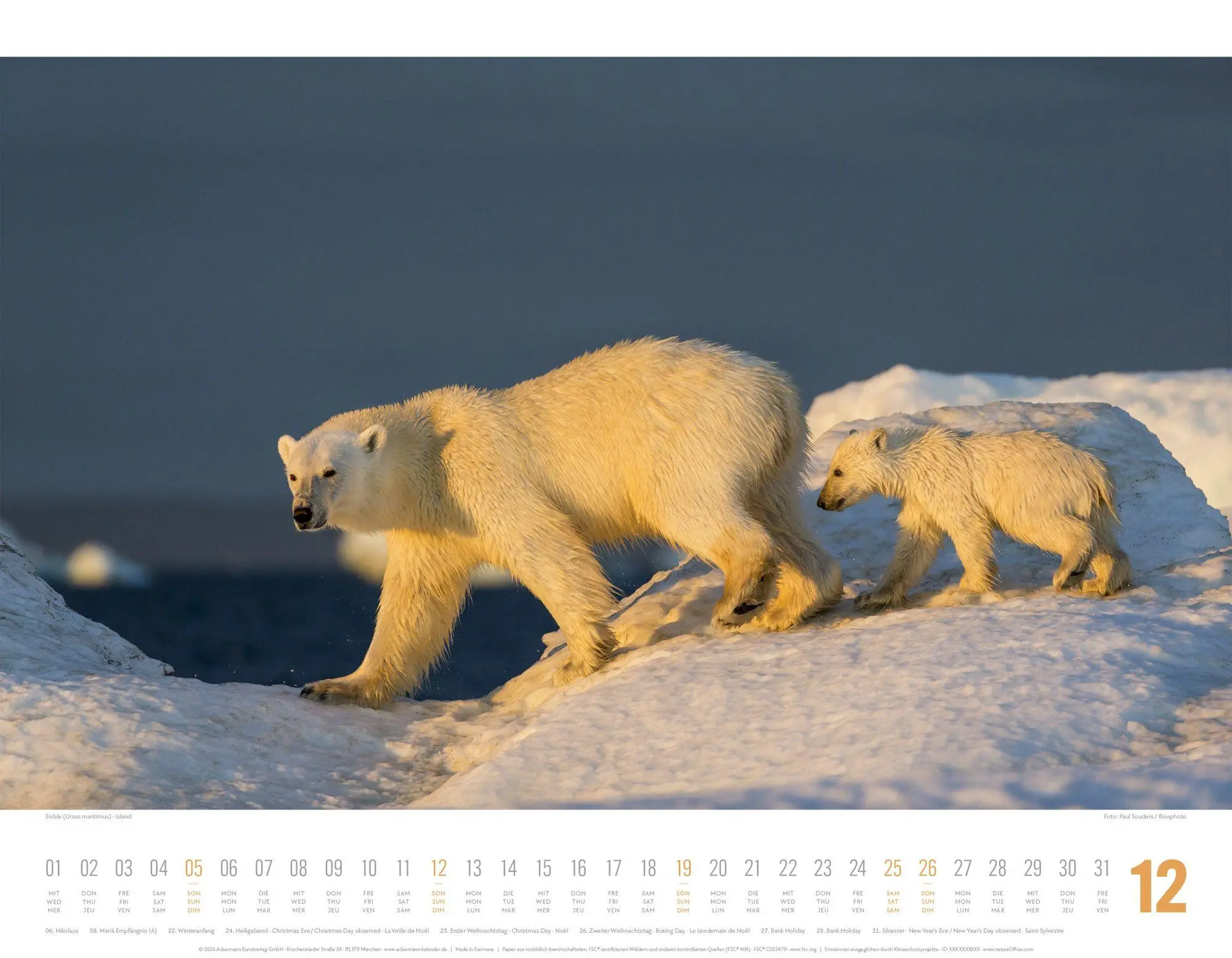 Bild: 9783838427867 | Tierwelt Skandinavien Kalender 2027 | Ackermann Kunstverlag GmbH