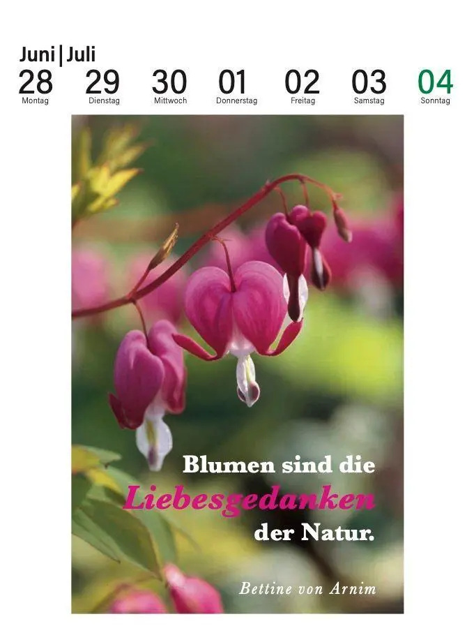 Bild: 9783895617867 | Der literarische Gartenkalender 2027 | Julia Bachstein | Kalender