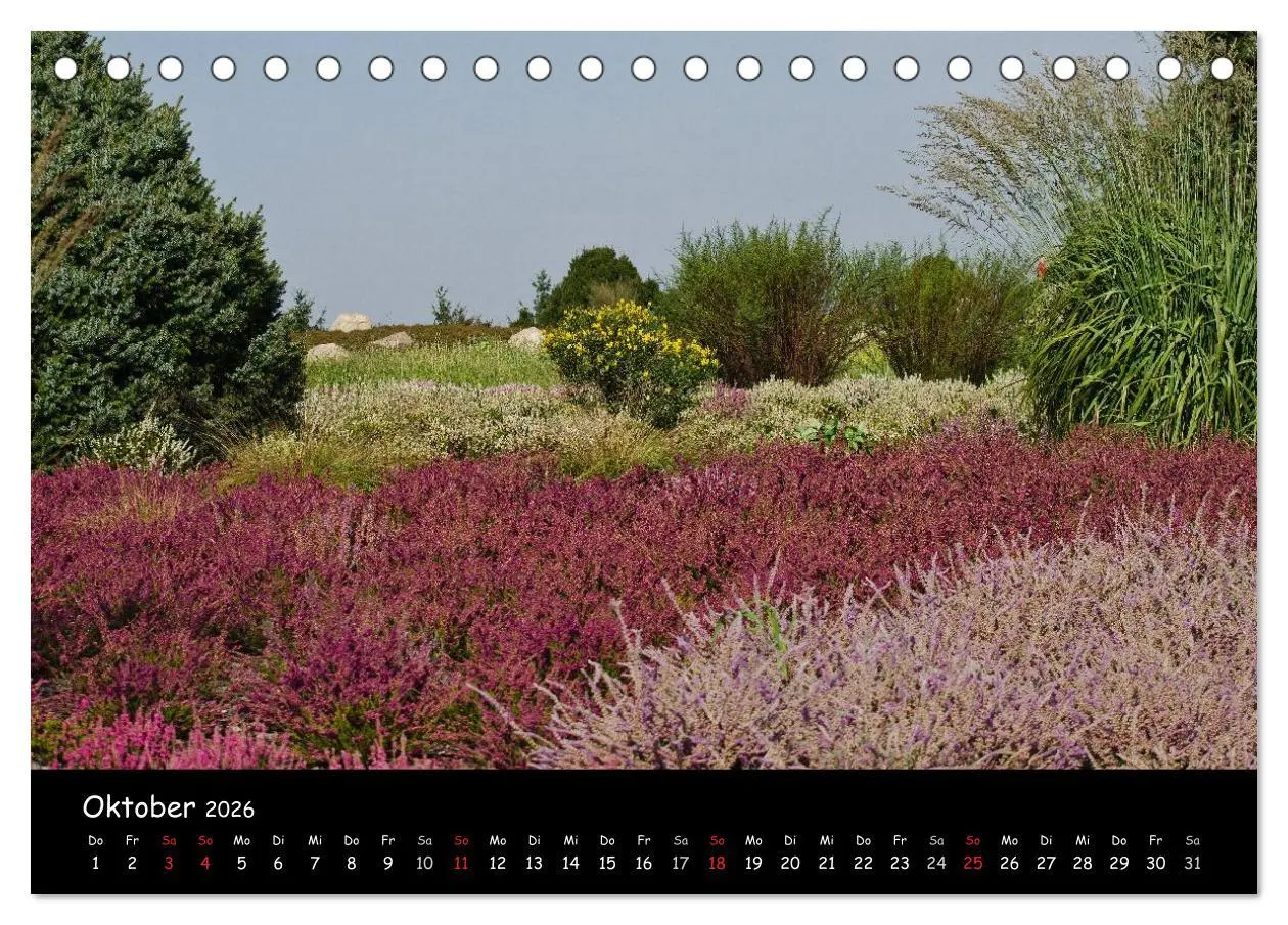 Bild: 9783516117967 | Findlingspark Nochten 2026 (Tischkalender 2026 DIN A5 quer),...