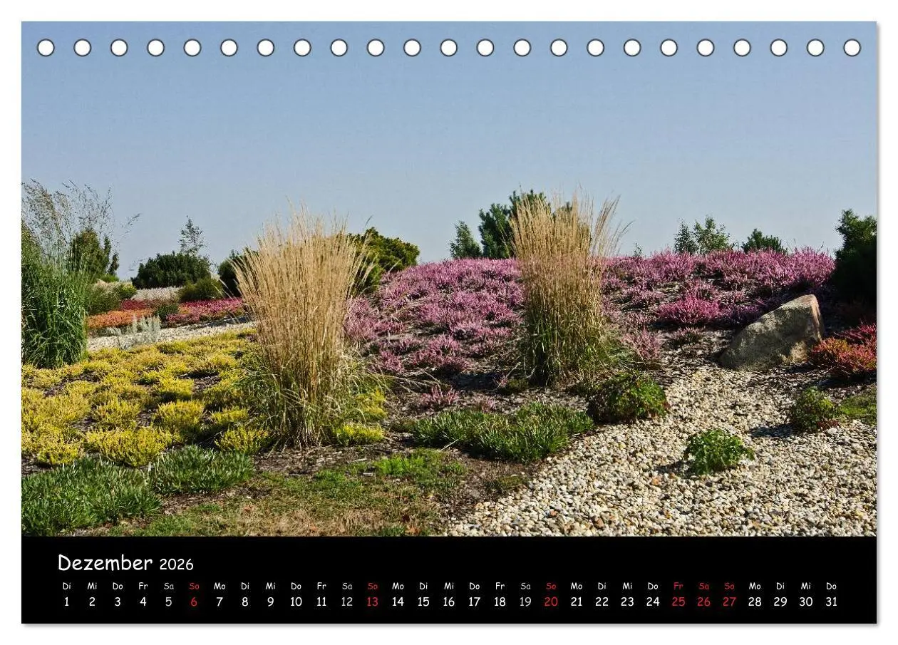Bild: 9783516117967 | Findlingspark Nochten 2026 (Tischkalender 2026 DIN A5 quer),...