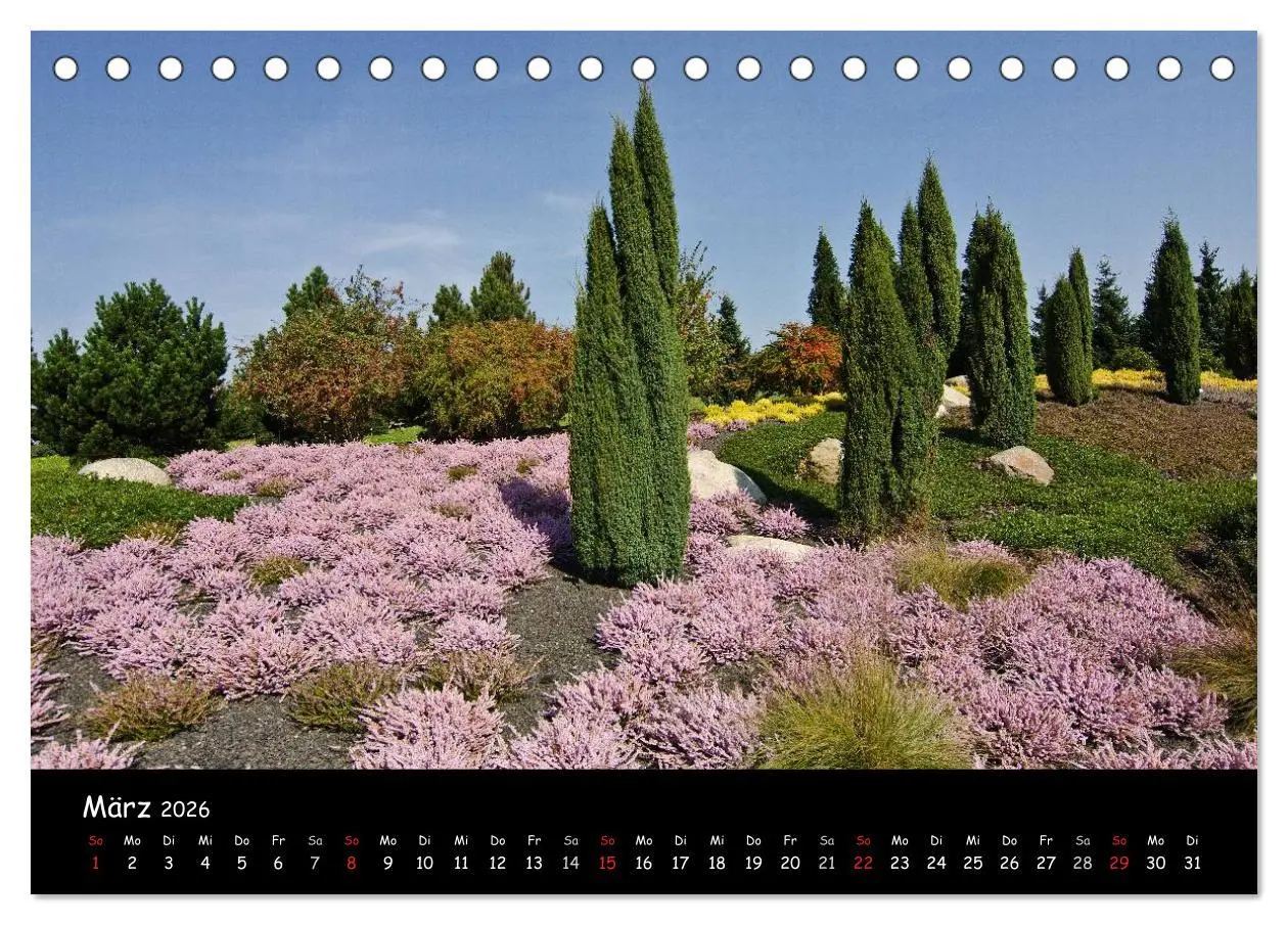 Bild: 9783516117967 | Findlingspark Nochten 2026 (Tischkalender 2026 DIN A5 quer),...