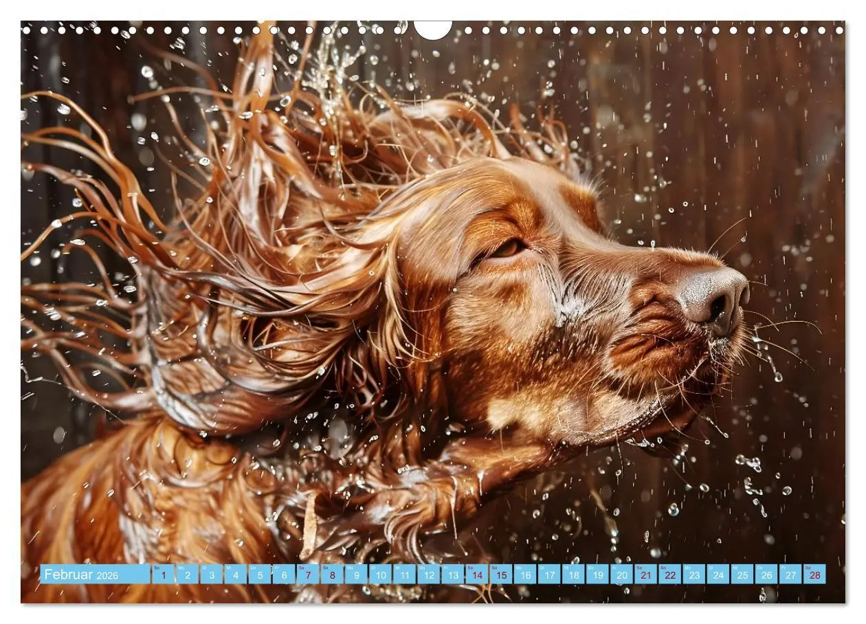 Bild: 9783457398067 | Hunde und Wasser (Wandkalender 2026 DIN A3 quer), CALVENDO...