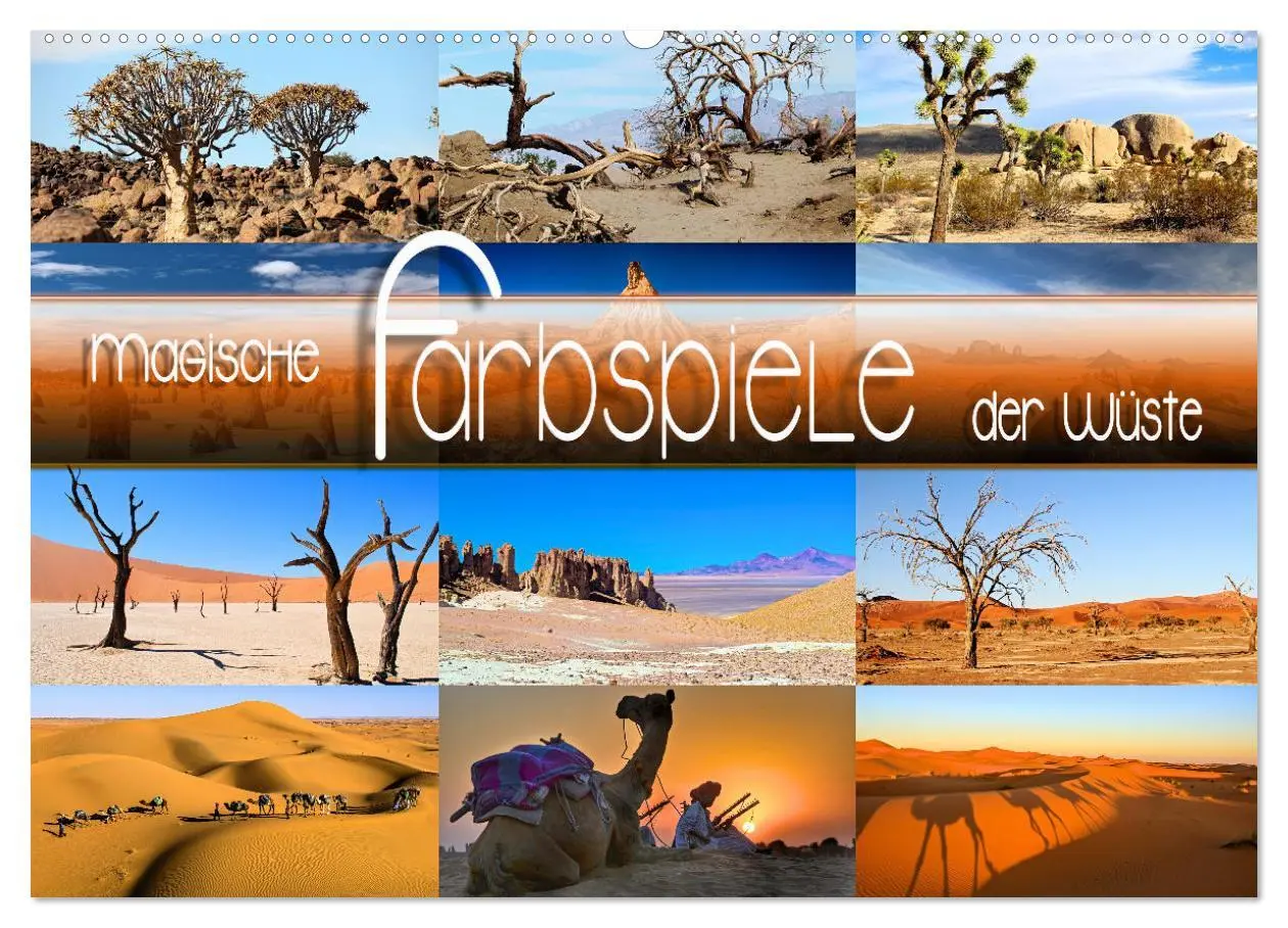Cover: 9783457608067 | Magische Farbspiele der Wüste (Wandkalender 2026 DIN A2 quer),...