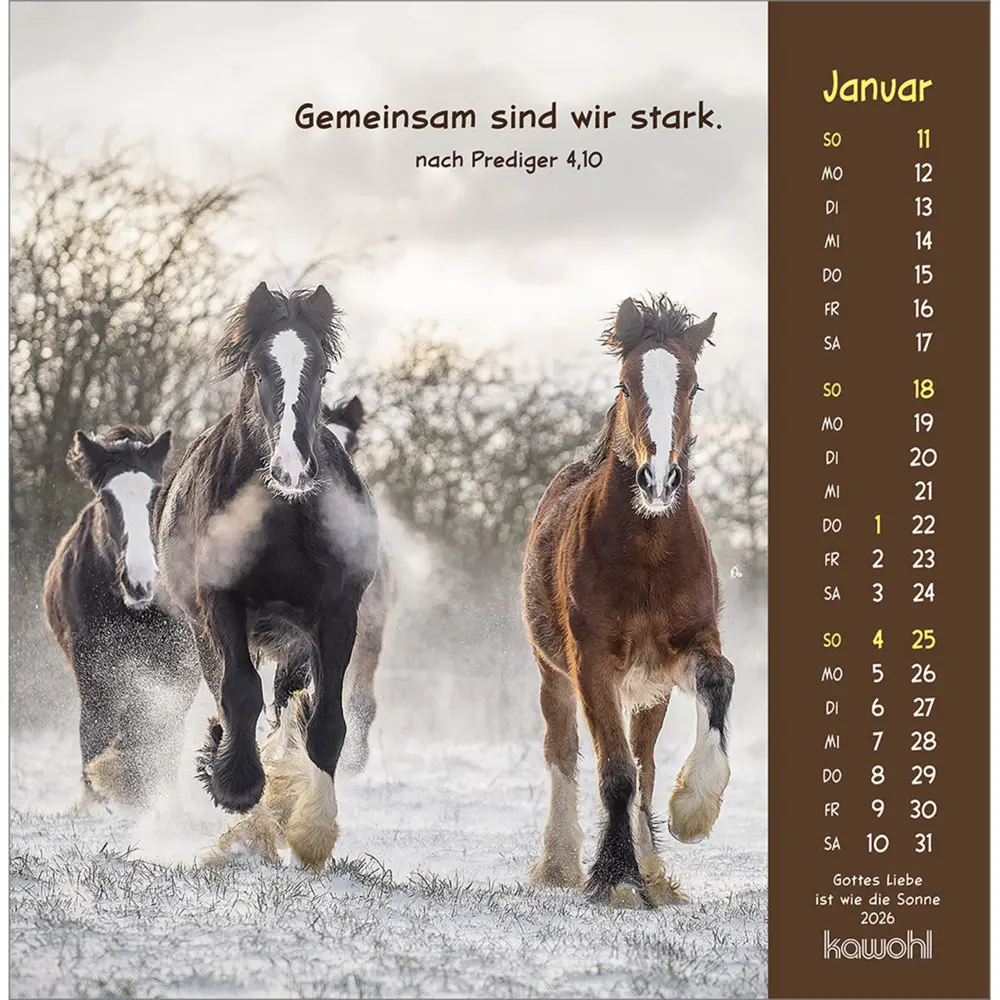 Bild: 9783754848067 | Gottes Liebe ist wie die Sonne 2026 | Tierkalender mit Bibelworten