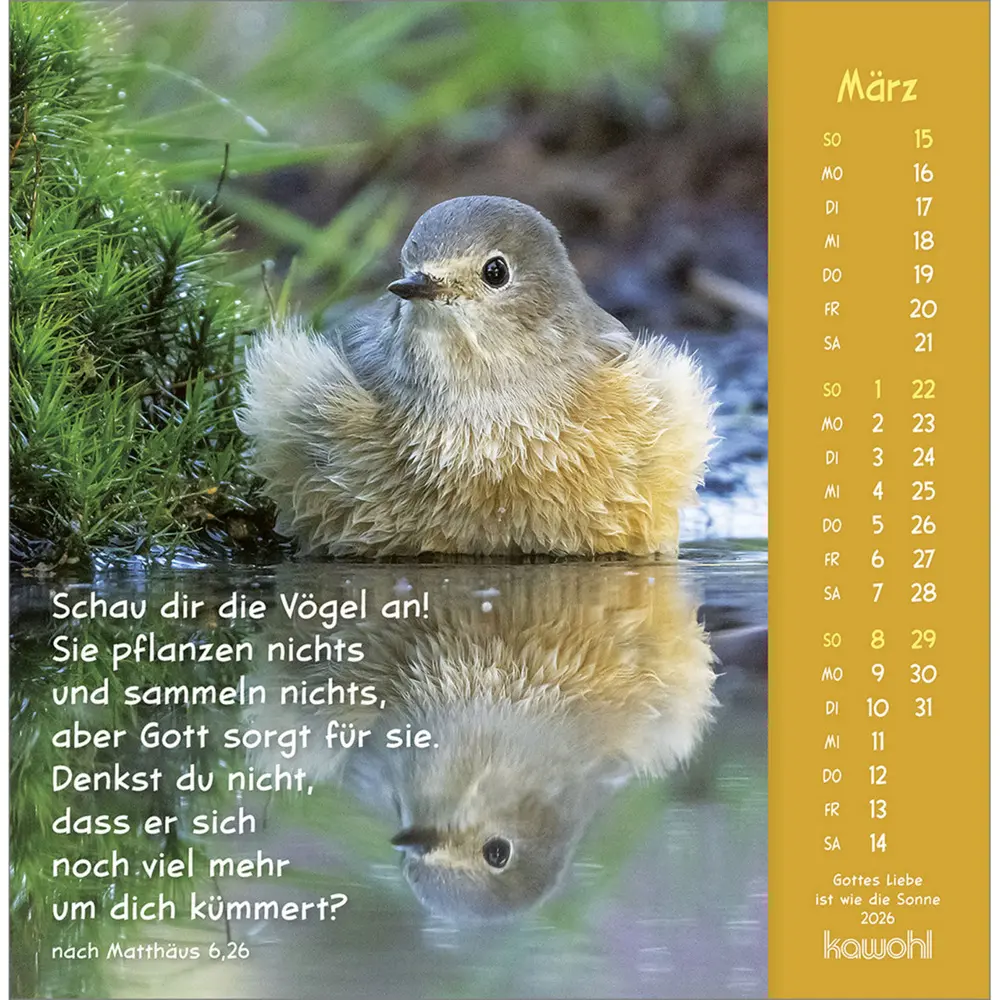 Bild: 9783754848067 | Gottes Liebe ist wie die Sonne 2026 | Tierkalender mit Bibelworten