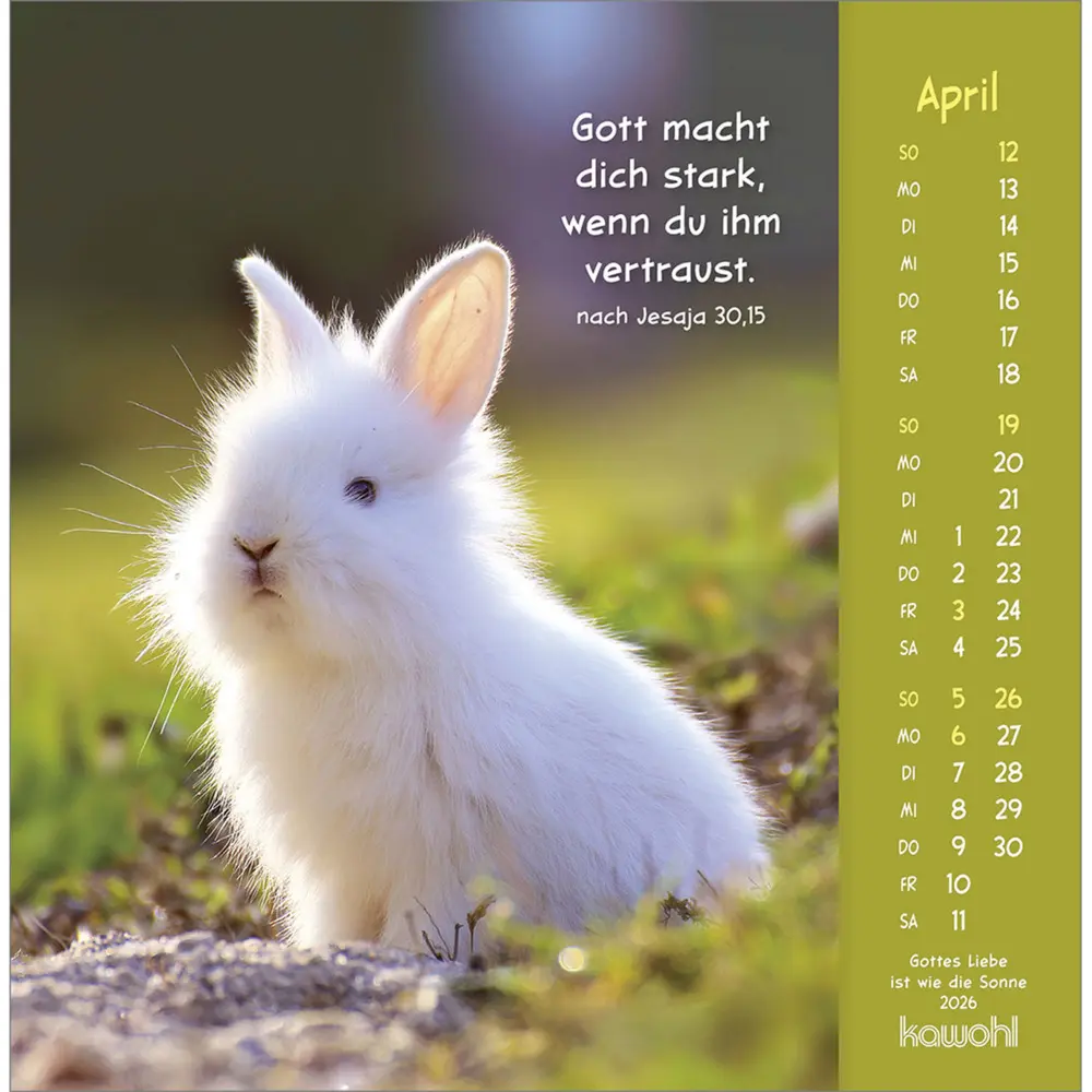 Bild: 9783754848067 | Gottes Liebe ist wie die Sonne 2026 | Tierkalender mit Bibelworten