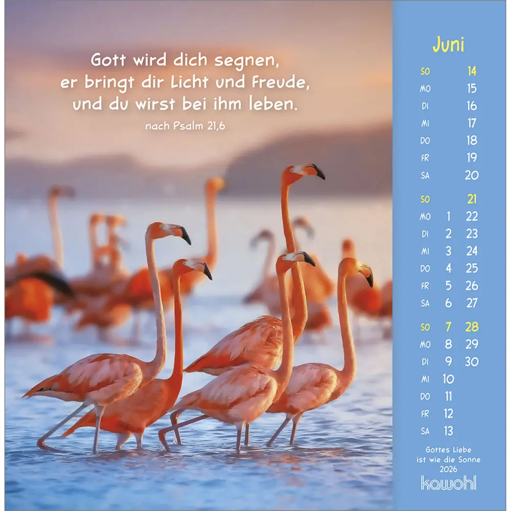 Bild: 9783754848067 | Gottes Liebe ist wie die Sonne 2026 | Tierkalender mit Bibelworten