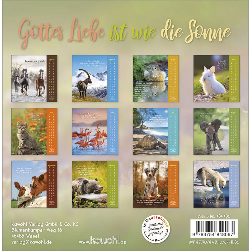 Bild: 9783754848067 | Gottes Liebe ist wie die Sonne 2026 | Tierkalender mit Bibelworten