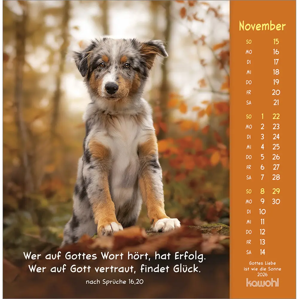 Bild: 9783754848067 | Gottes Liebe ist wie die Sonne 2026 | Tierkalender mit Bibelworten