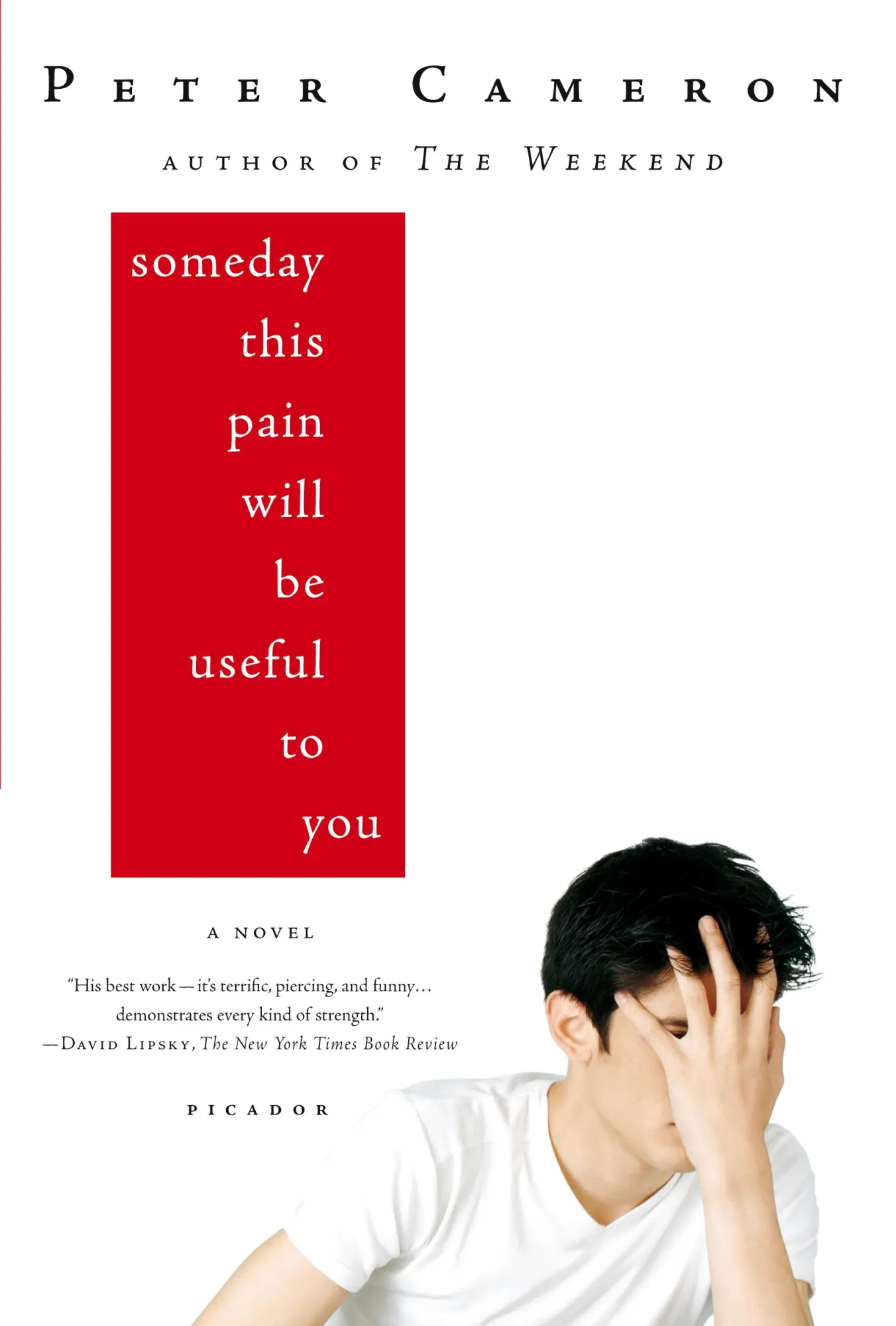 Cover: 9780312428167 | Someday This Pain Will Be Useful to You | Peter Cameron | Taschenbuch