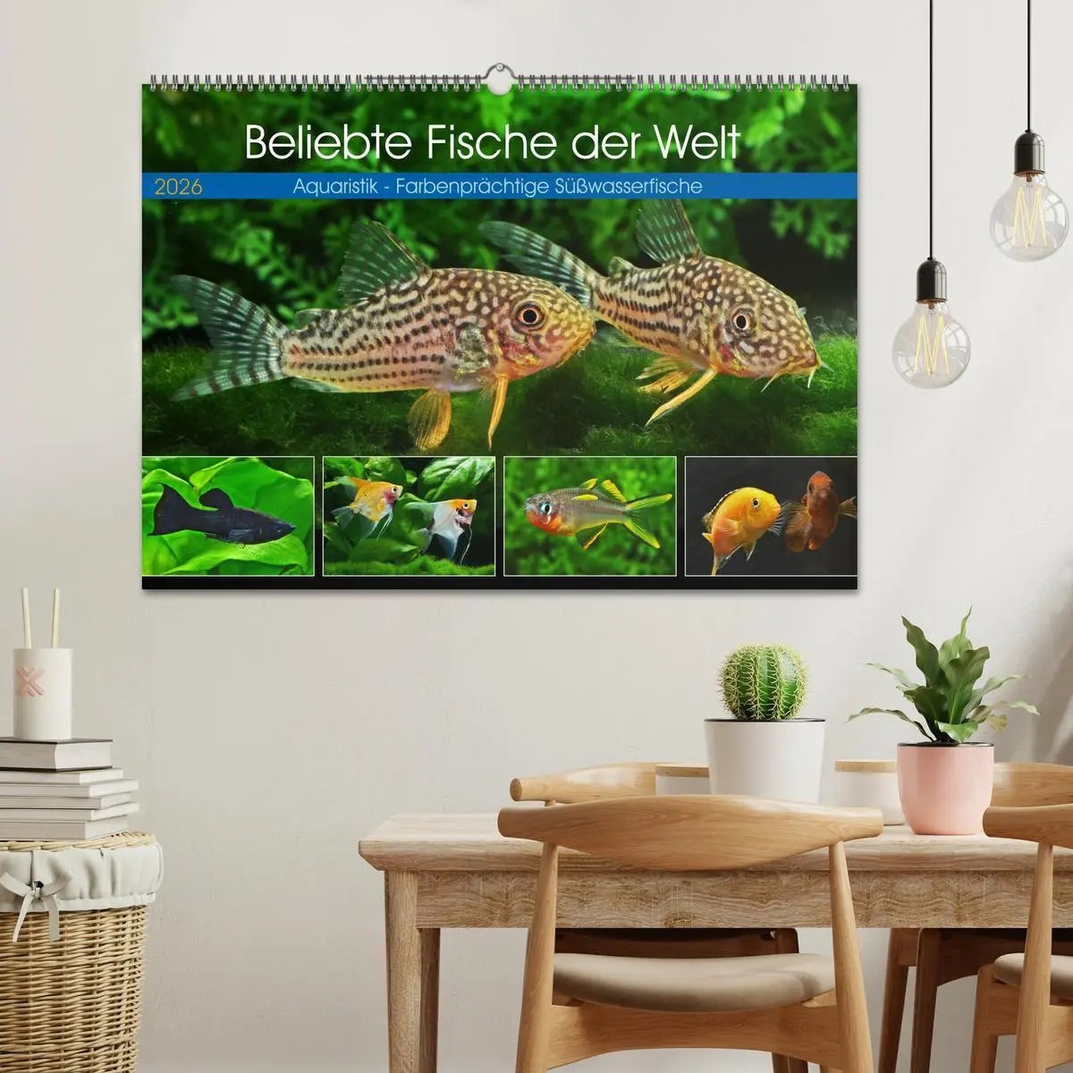 Bild: 9783457528167 | Beliebte Fische der Welt (Wandkalender 2026 DIN A2 quer), CALVENDO...