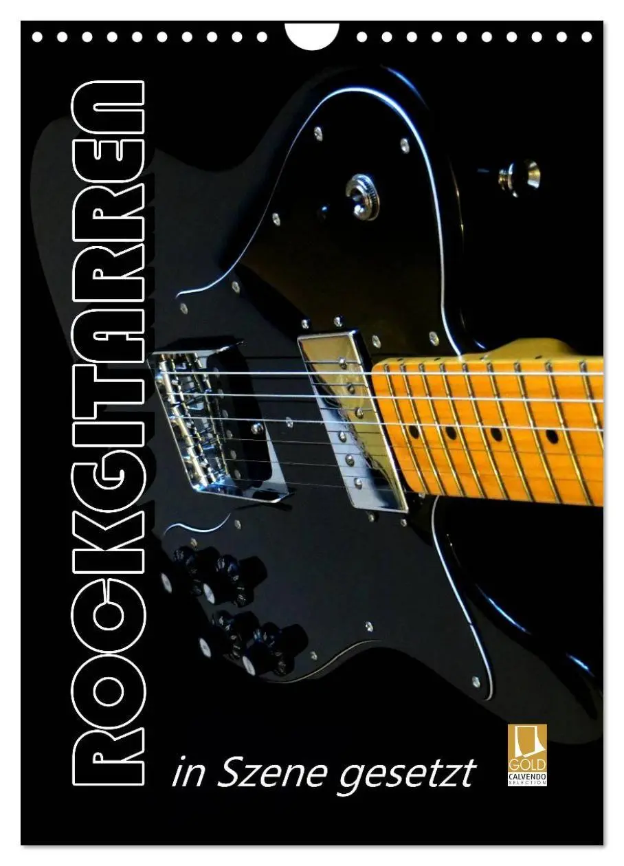 Cover: 9783594148167 | ROCKGITARREN in Szene gesetzt / Geburtstagskalender (Wandkalender...