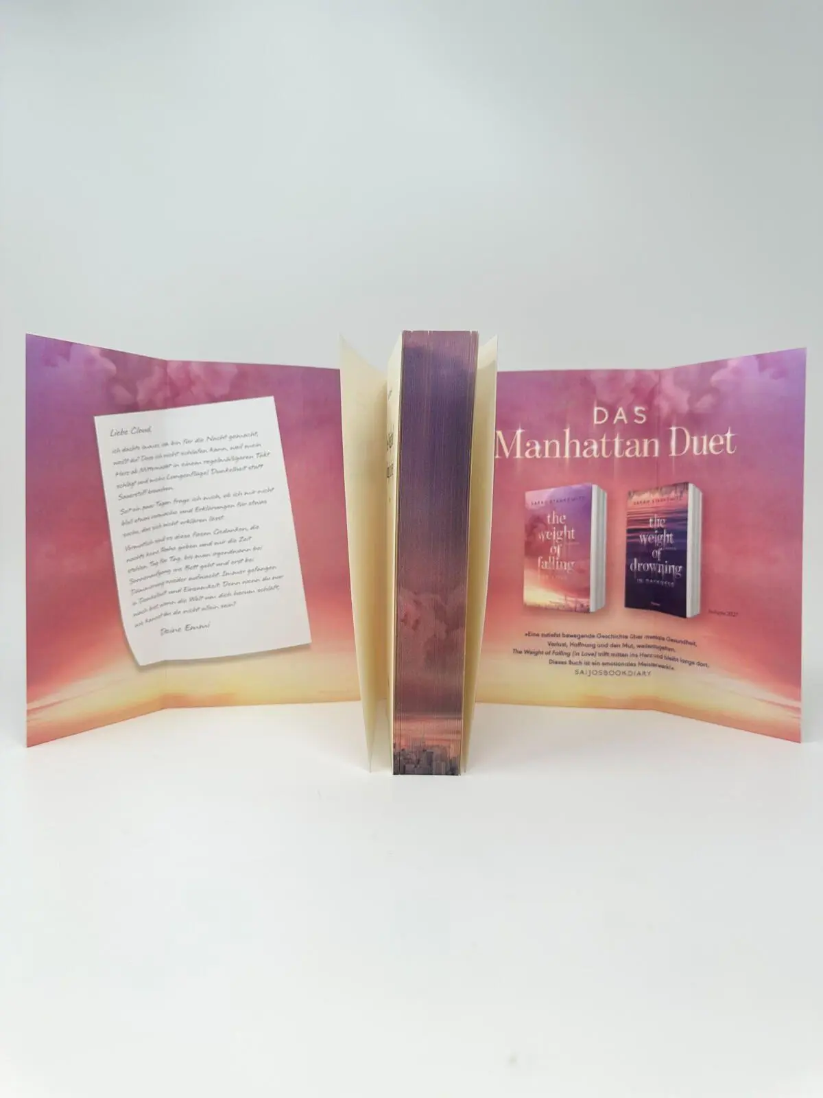 Bild: 9783958188167 | The Weight of Falling (in Love) | Sarah Stankewitz | Taschenbuch