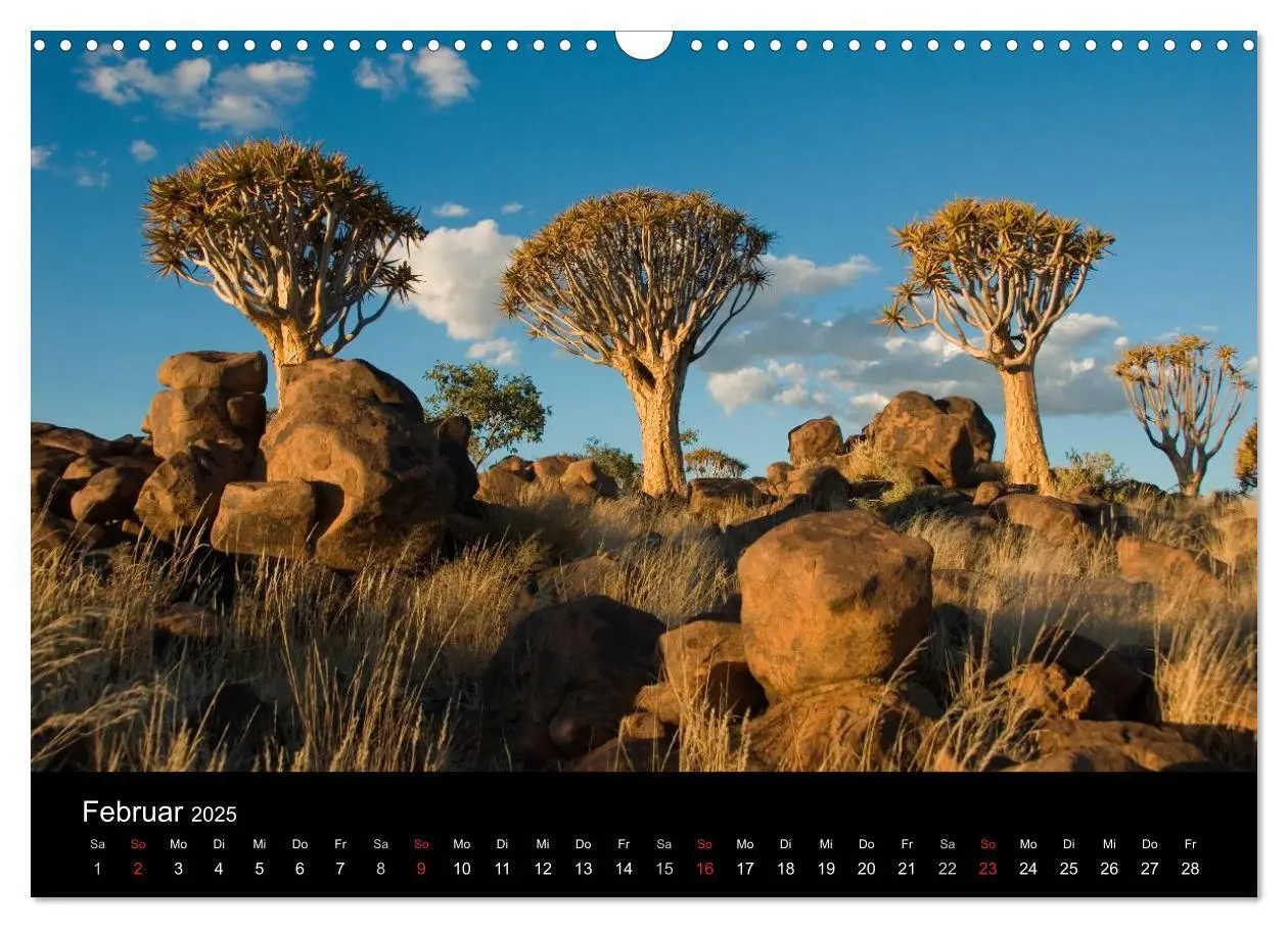 Bild: 9783435738267 | Namibias Highlights (Wandkalender 2025 DIN A3 quer), CALVENDO...