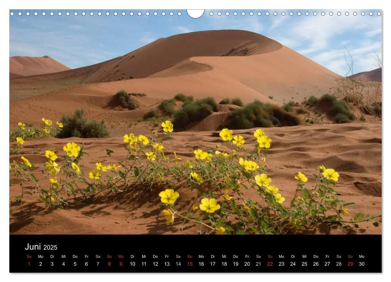 Bild: 9783435738267 | Namibias Highlights (Wandkalender 2025 DIN A3 quer), CALVENDO...