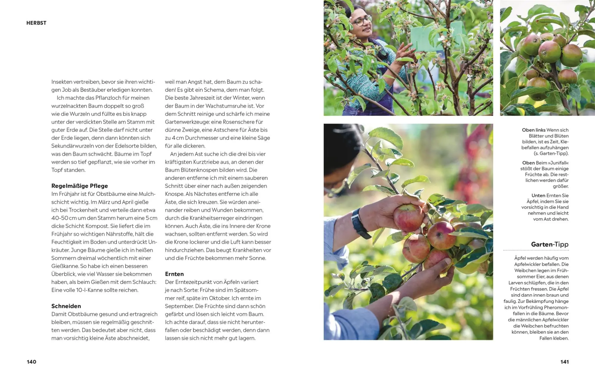 Bild: 9783831048267 | Genuss pur aus dem Küchengarten | Rekha Mistry | Buch | 192 S. | 2024