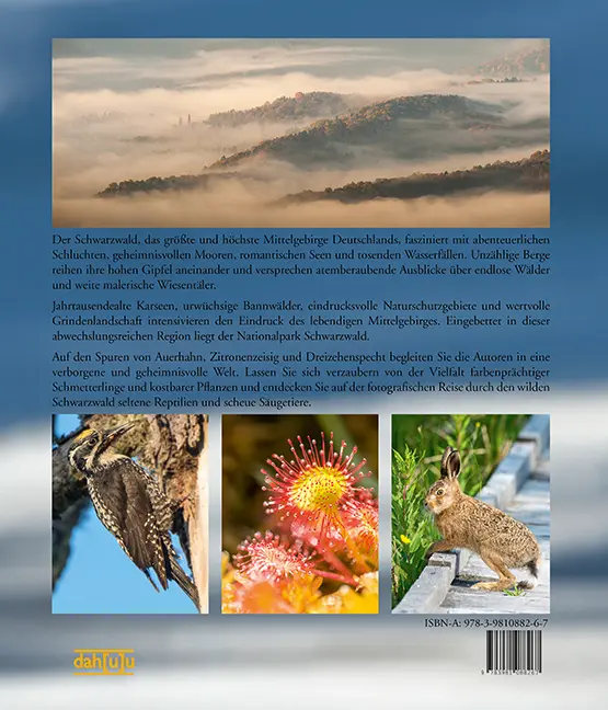 Bild: 9783981088267 | NATURERLEBNIS WILDER SCHWARZWALD | Das lebendige Mittelgebirge | Buch