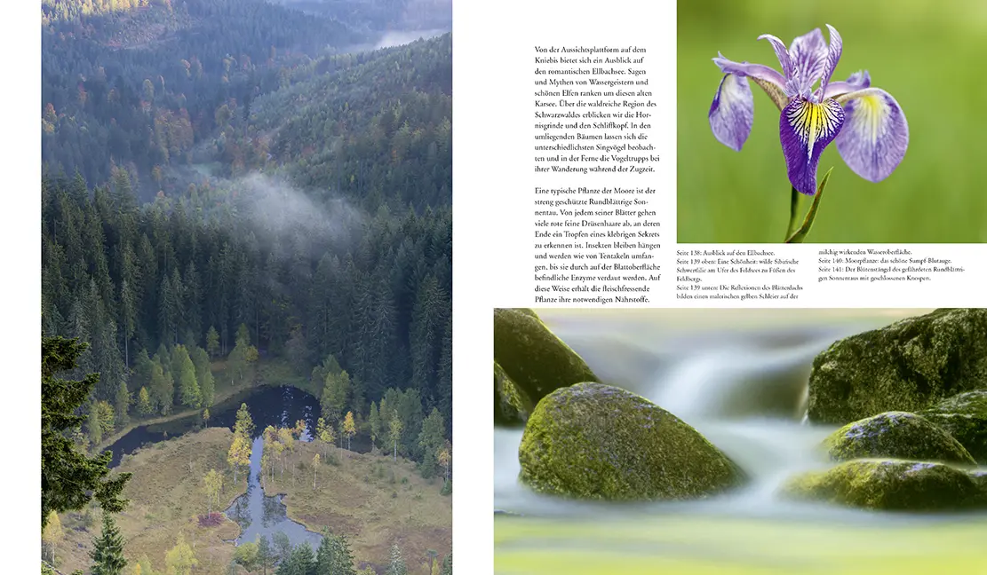 Bild: 9783981088267 | NATURERLEBNIS WILDER SCHWARZWALD | Das lebendige Mittelgebirge | Buch