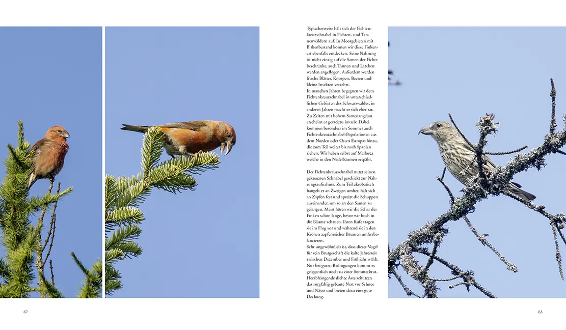 Bild: 9783981088267 | NATURERLEBNIS WILDER SCHWARZWALD | Das lebendige Mittelgebirge | Buch
