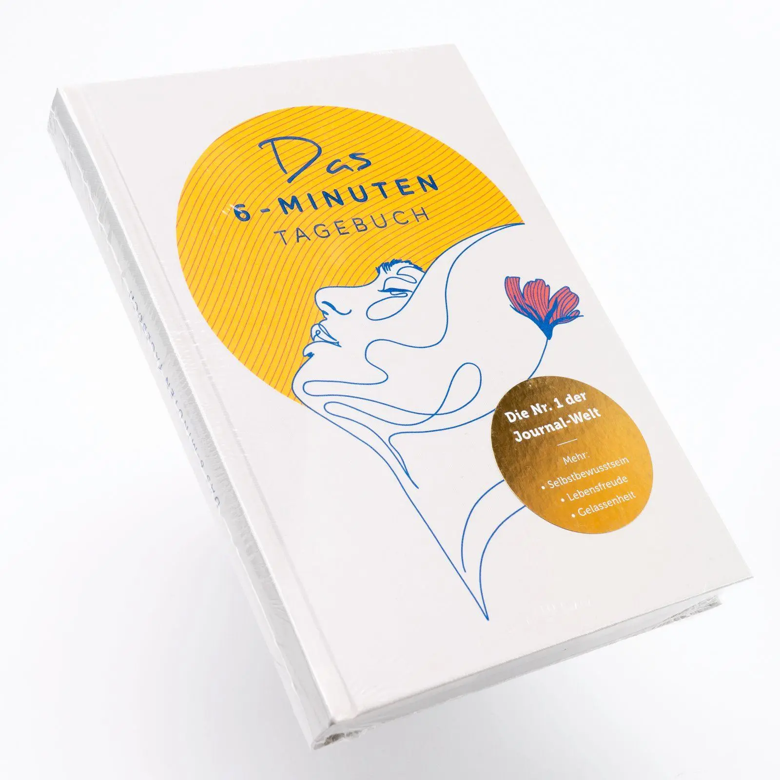 Bild: 9783499018367 | Das 6-Minuten-Tagebuch 'Art Edition' | Limitierte Ausgabe | Spenst
