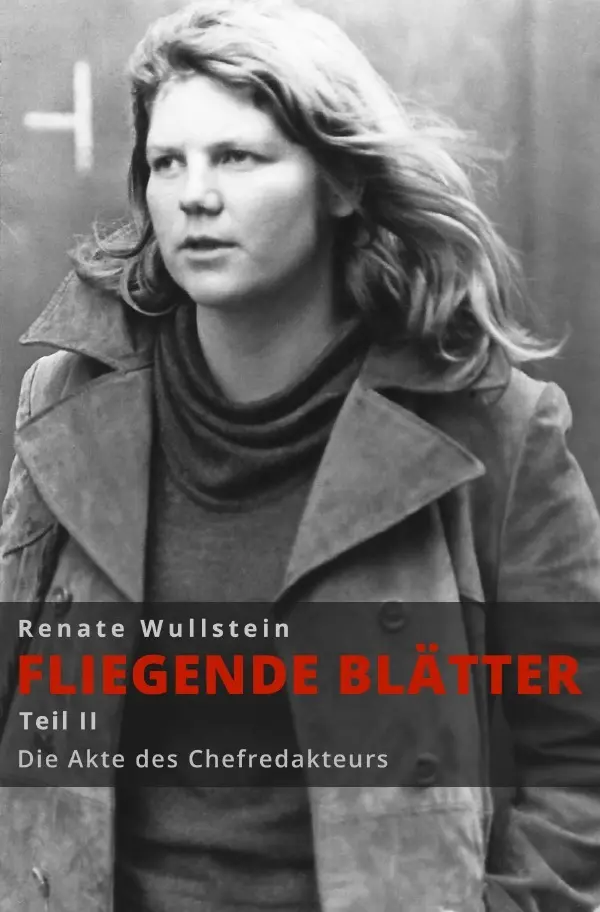 Cover: 9783754128367 | Die Akte des Chefredakteurs | Fliegende Blätter Teil II | Wullstein