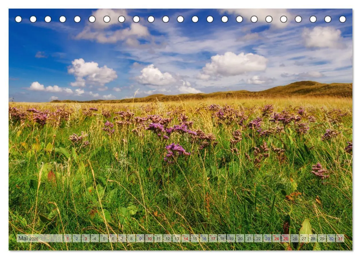 Bild: 9783457668467 | Texel - Kleine Insel, große Vielfalt (Tischkalender 2026 DIN A5...