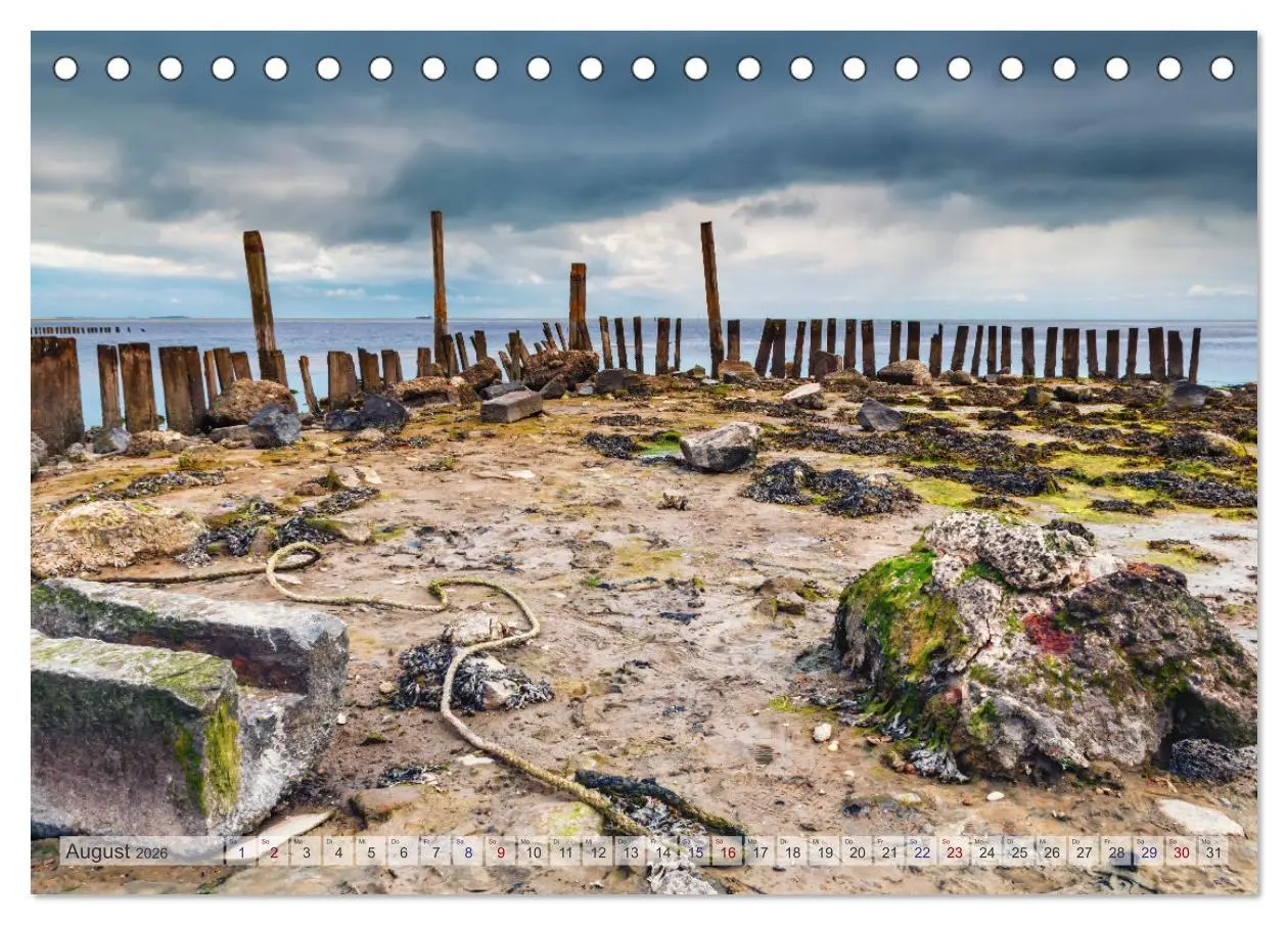 Bild: 9783457668467 | Texel - Kleine Insel, große Vielfalt (Tischkalender 2026 DIN A5...
