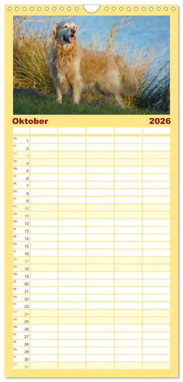 Bild: 9783516518467 | Familienplaner 2026 - Golden Retriever Power mit 5 Spalten...