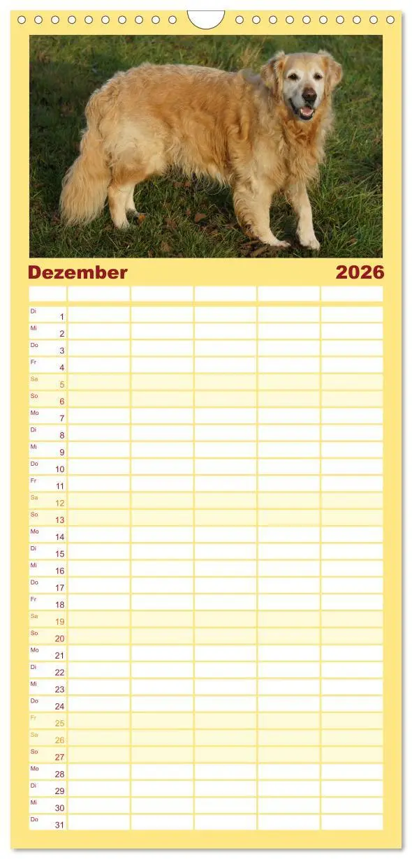 Bild: 9783516518467 | Familienplaner 2026 - Golden Retriever Power mit 5 Spalten...