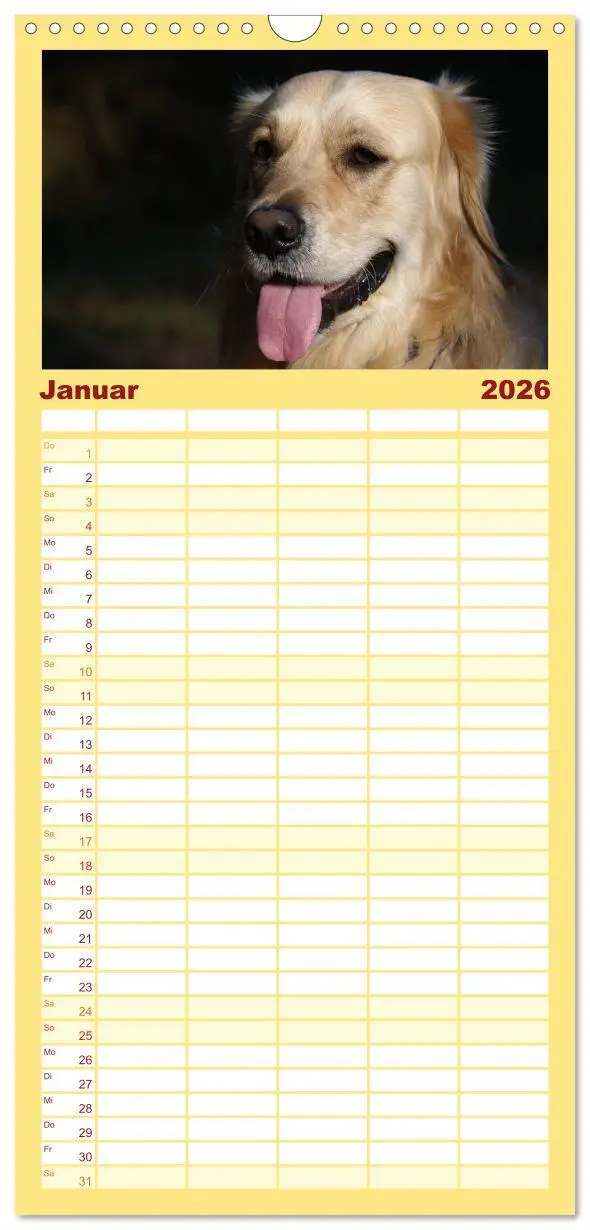 Bild: 9783516518467 | Familienplaner 2026 - Golden Retriever Power mit 5 Spalten...