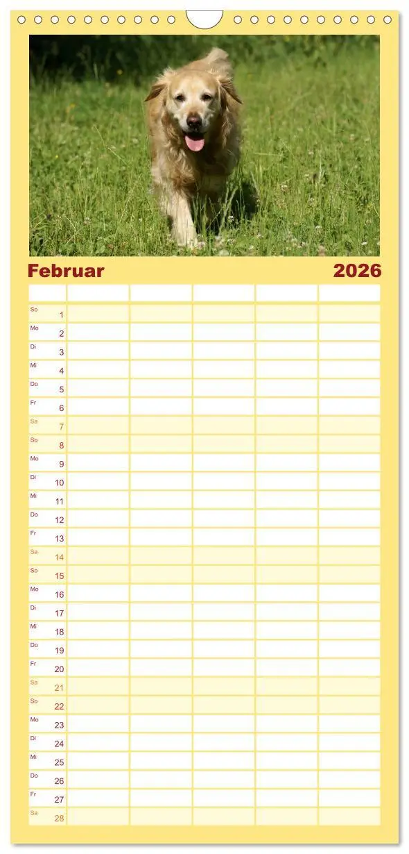 Bild: 9783516518467 | Familienplaner 2026 - Golden Retriever Power mit 5 Spalten...