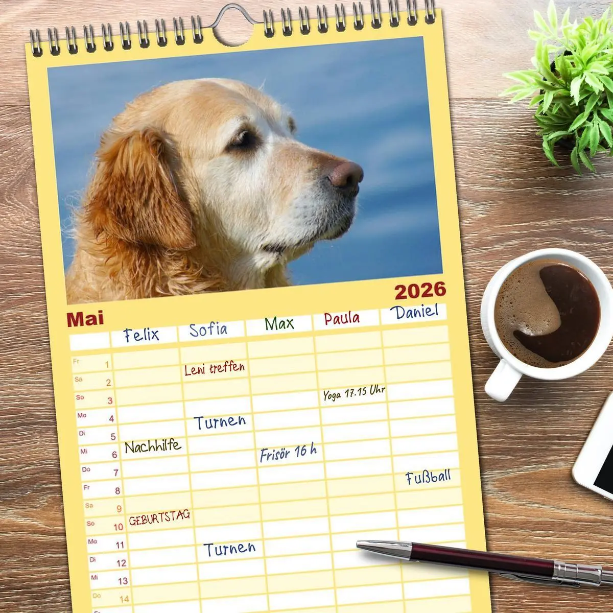 Bild: 9783516518467 | Familienplaner 2026 - Golden Retriever Power mit 5 Spalten...