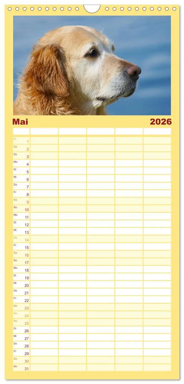 Bild: 9783516518467 | Familienplaner 2026 - Golden Retriever Power mit 5 Spalten...